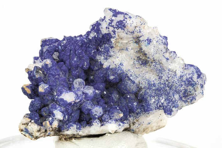 Vivid-Blue Azurite Encrusted Quartz Crystals - China #213812